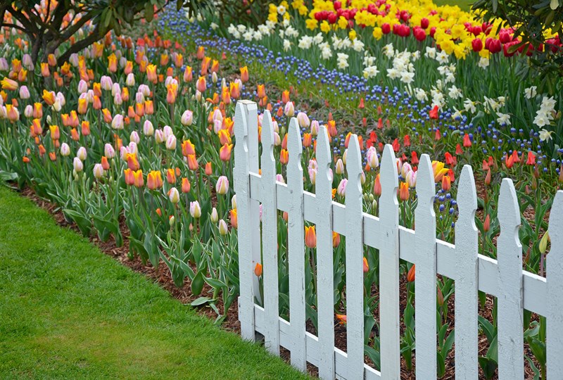 White picket fence on property