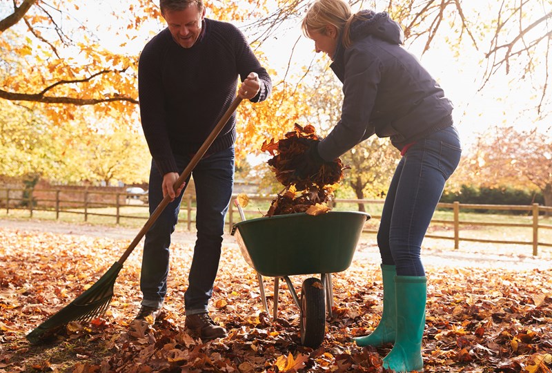 staging home to sell in fall