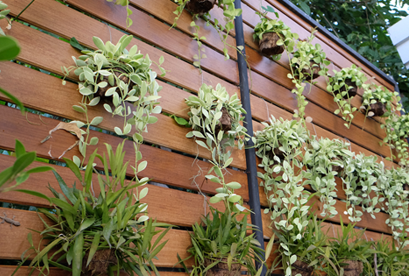 New landscaping trends every homeowner should know
