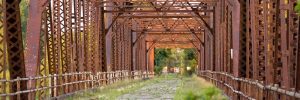 Bloomington, MN Bridge