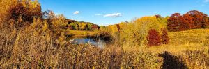 Beautiful park in Eagan, Minnesota